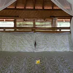 Bali Firefly Bnb