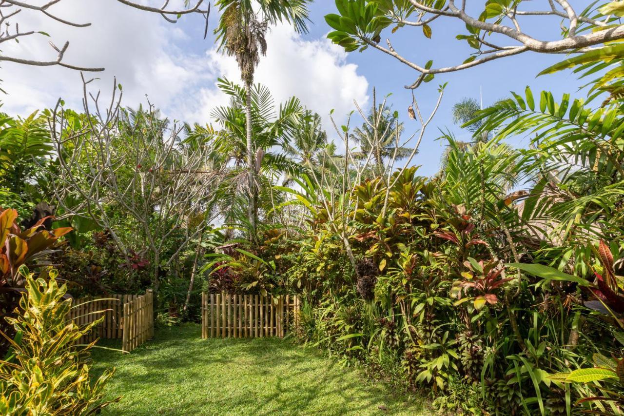 Frühstückspension Bali Firefly Ubud
