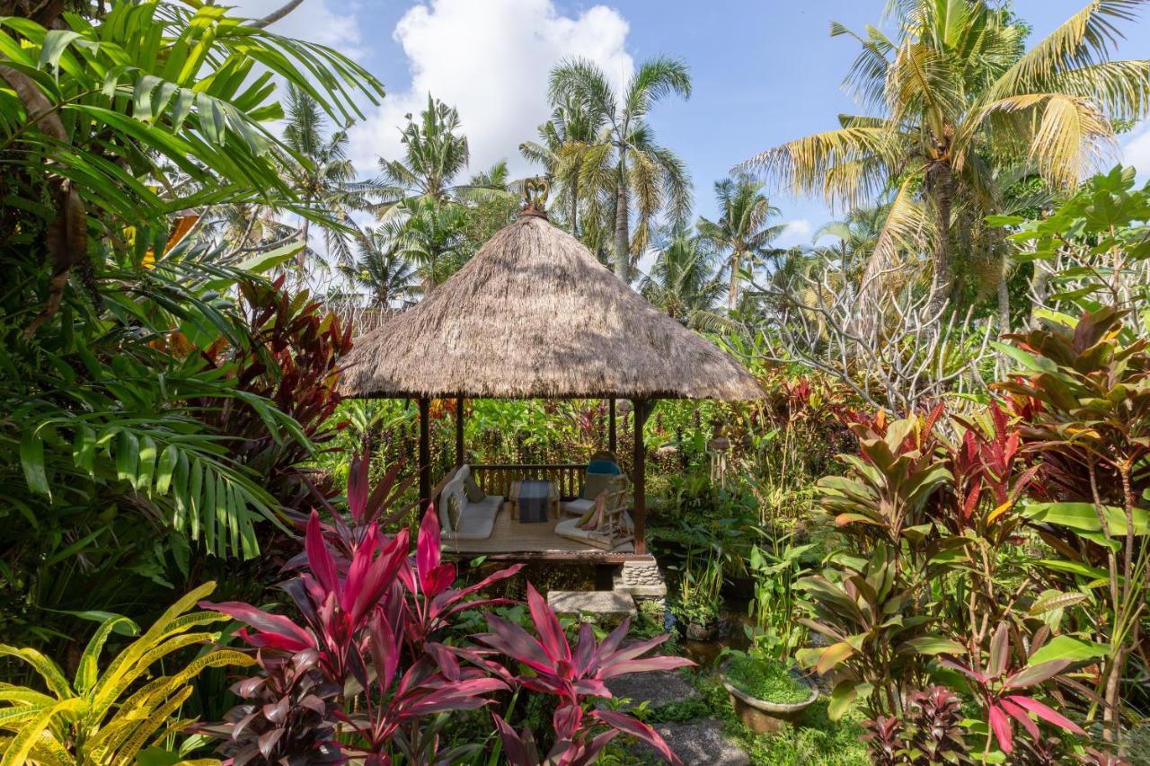 Bali Firefly Frühstückspension