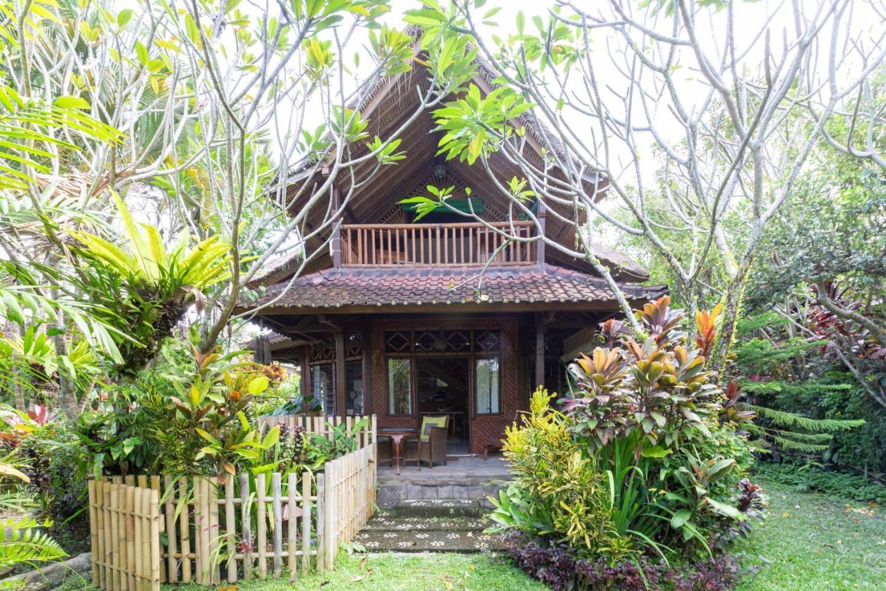 Bali Firefly Frühstückspension