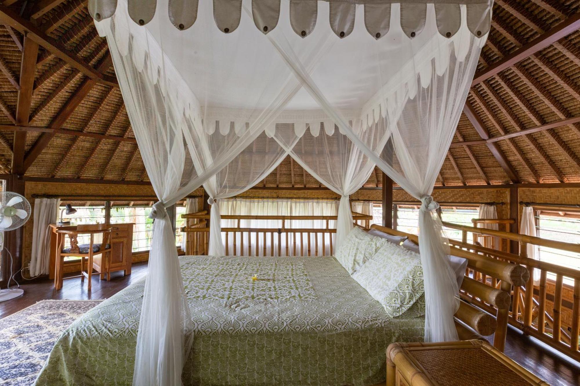 Bali Firefly