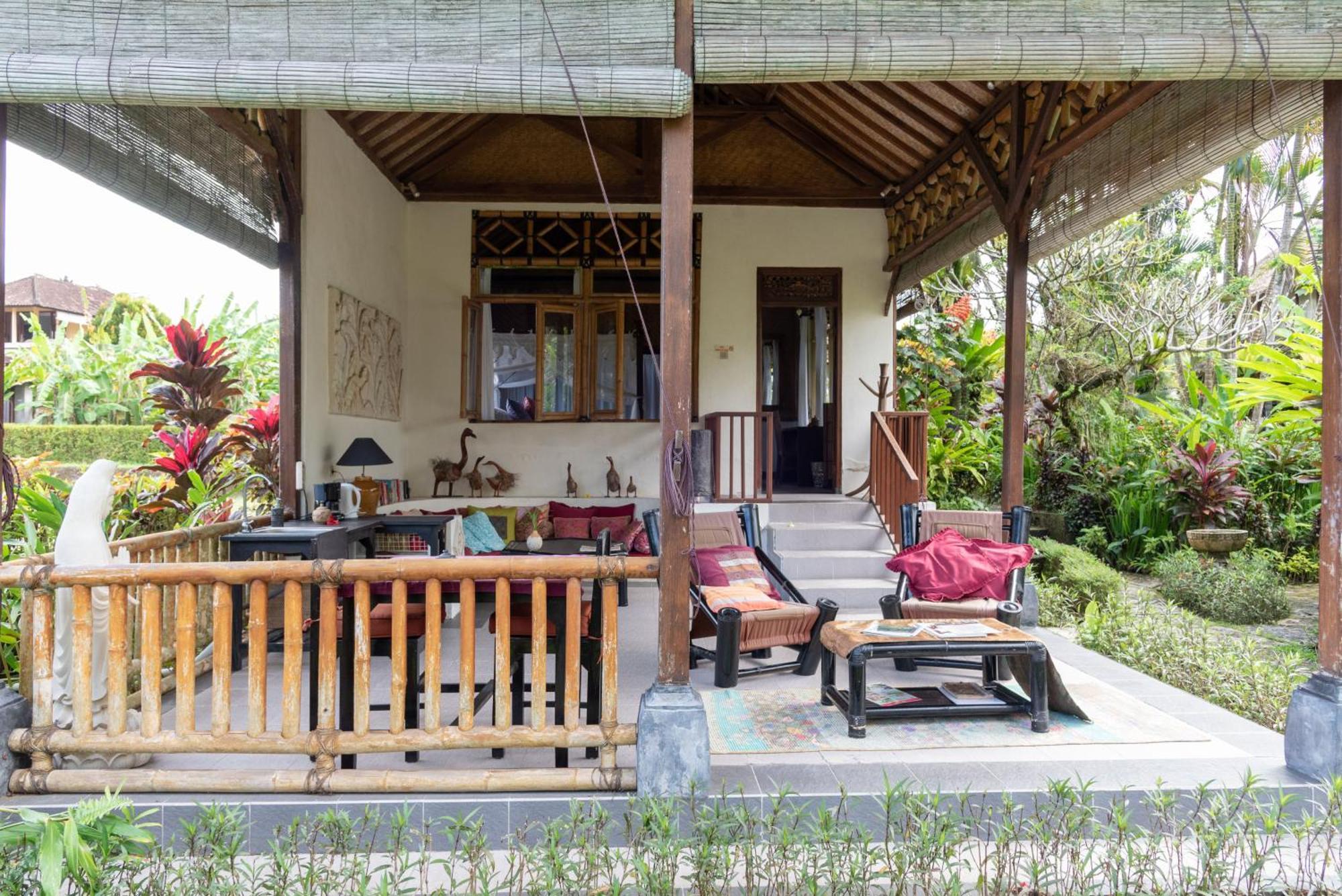 Bali Firefly *