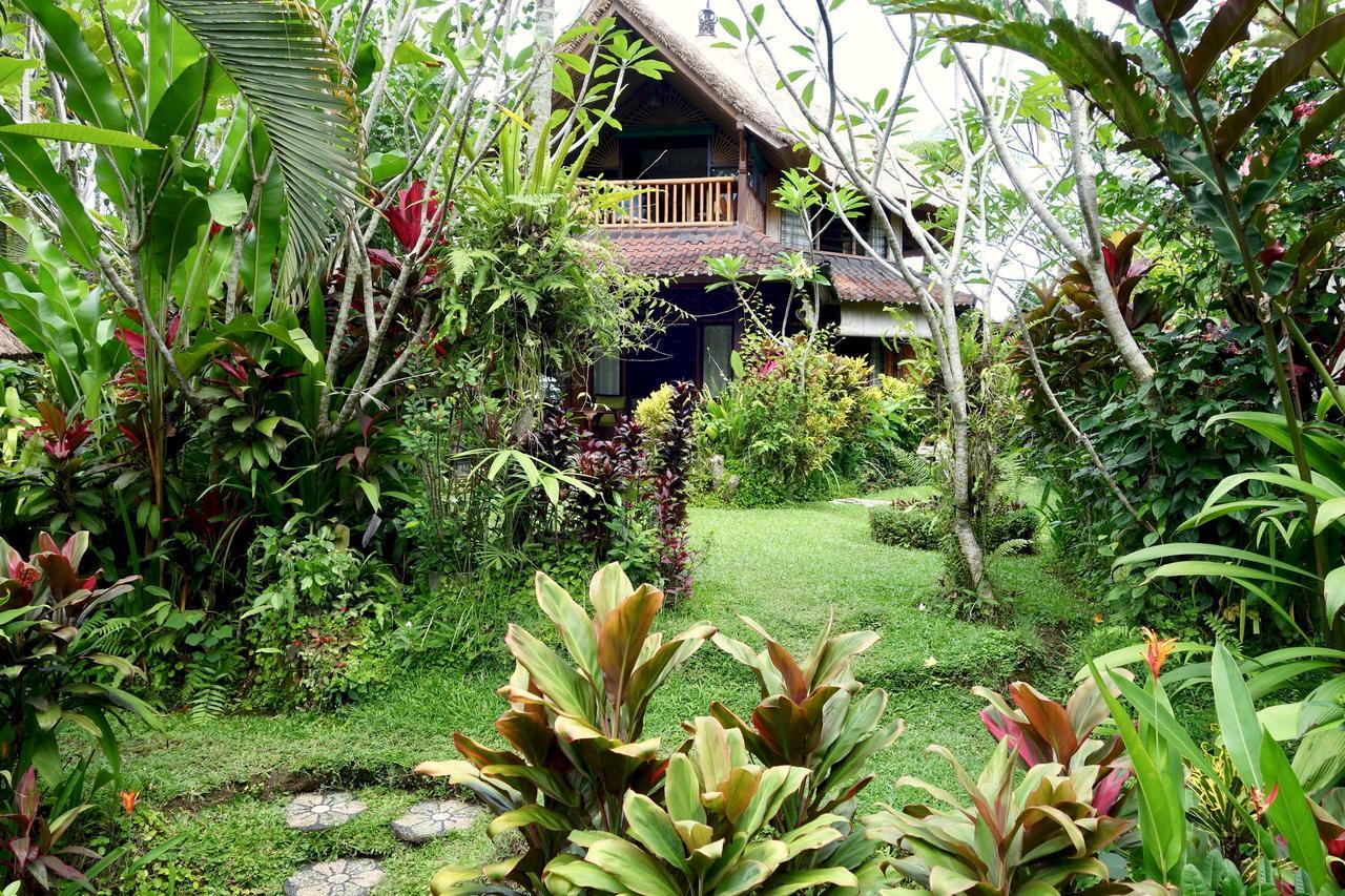 Bali Firefly Frühstückspension Ubud