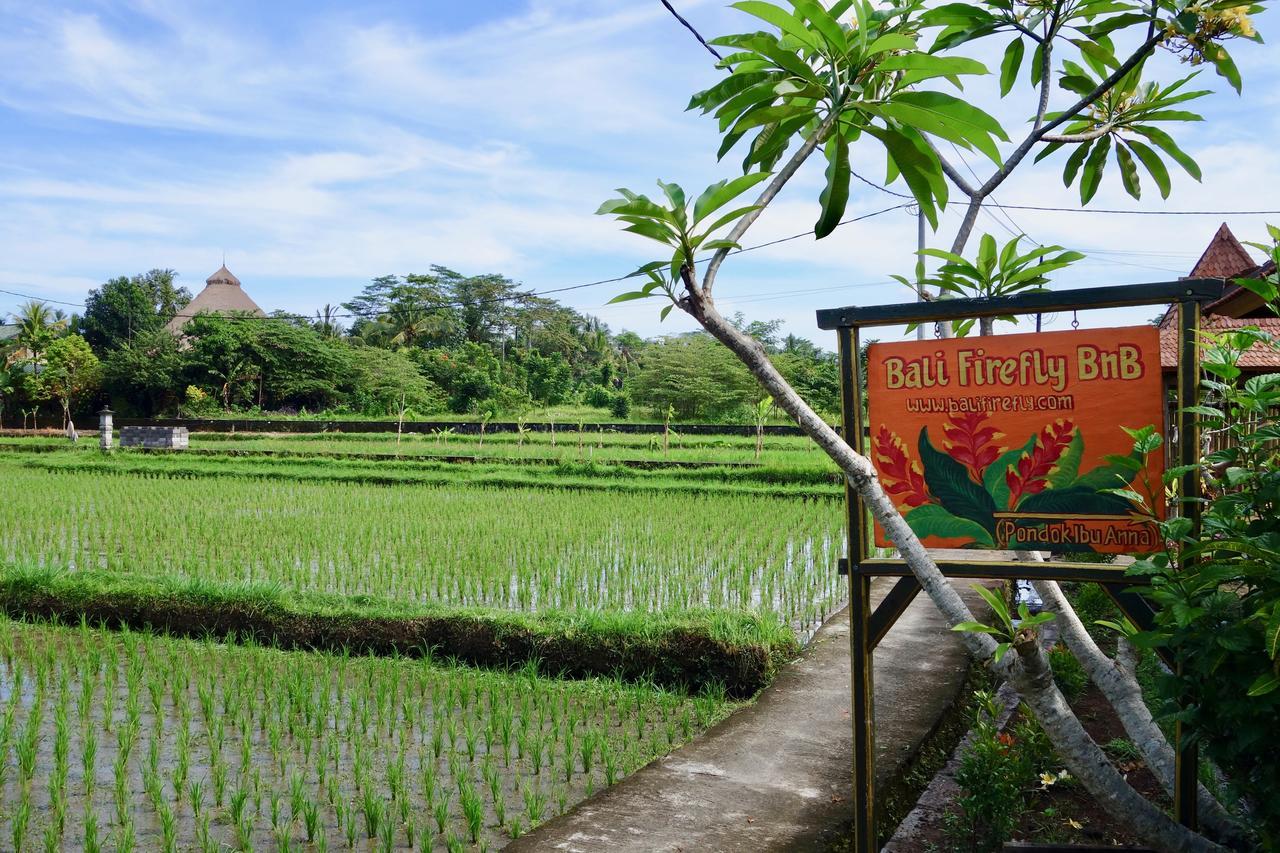 Bali Firefly *